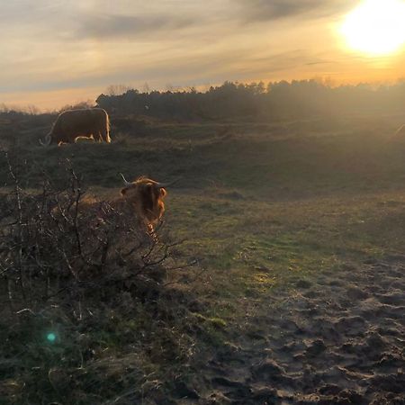 Willa De Bosrand Grenzend Aan Het Bos Castricum Zewnętrze zdjęcie