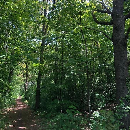 Willa De Bosrand Grenzend Aan Het Bos Castricum Zewnętrze zdjęcie