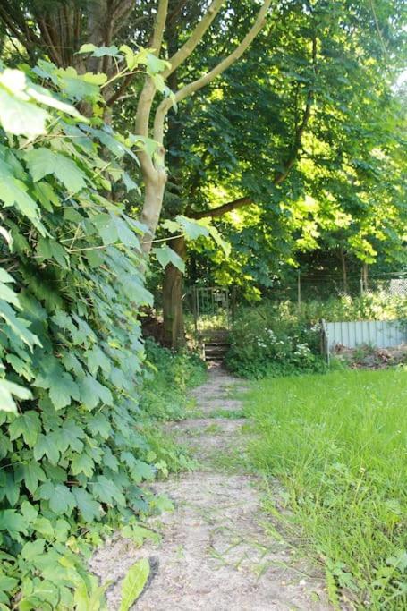 Willa De Bosrand Grenzend Aan Het Bos Castricum Zewnętrze zdjęcie