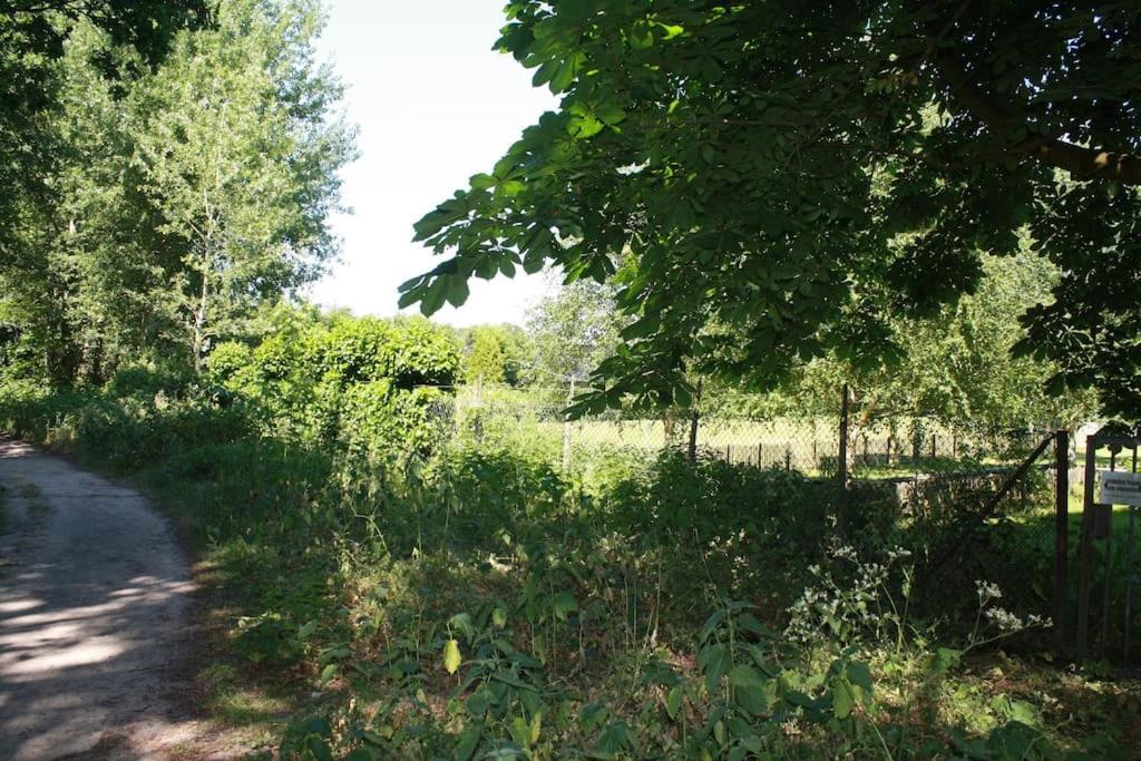 Willa De Bosrand Grenzend Aan Het Bos Castricum Zewnętrze zdjęcie